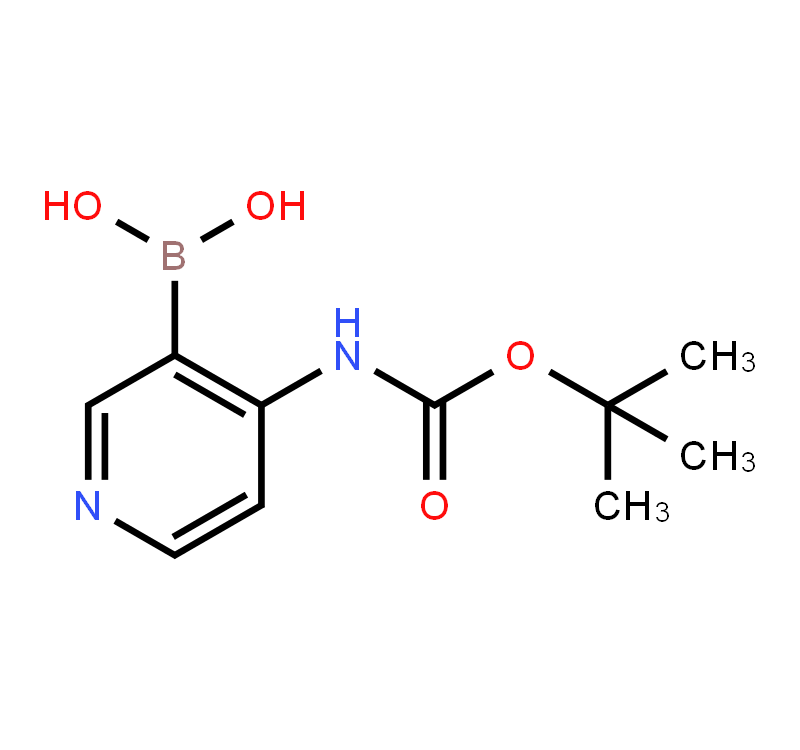 4-[(tert-Butoxycarbonyl)amino]pyridine-3-boronic acid