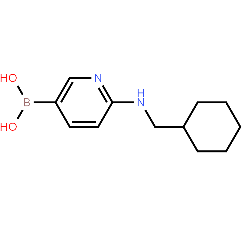 2-(Cyclohexylmethylamino)pyridine-5-boronic acid