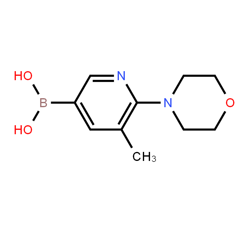 5-Methyl-6-morpholinopyridine-3-boronic acid