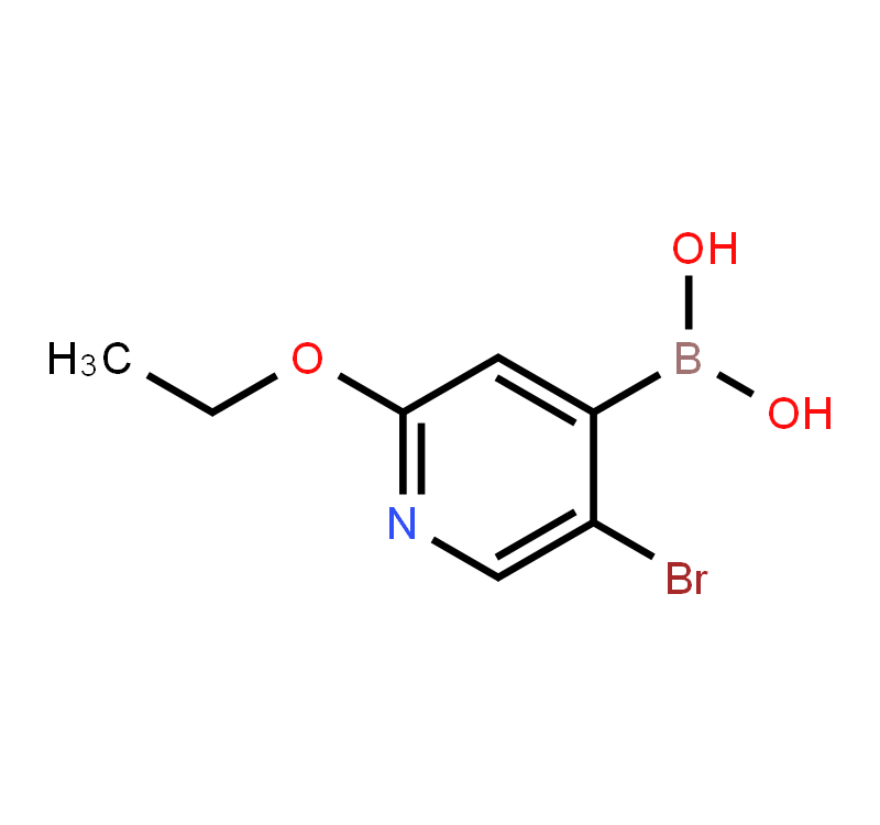 5-Bromo-2-ethoxypyridine-4-boronic acid