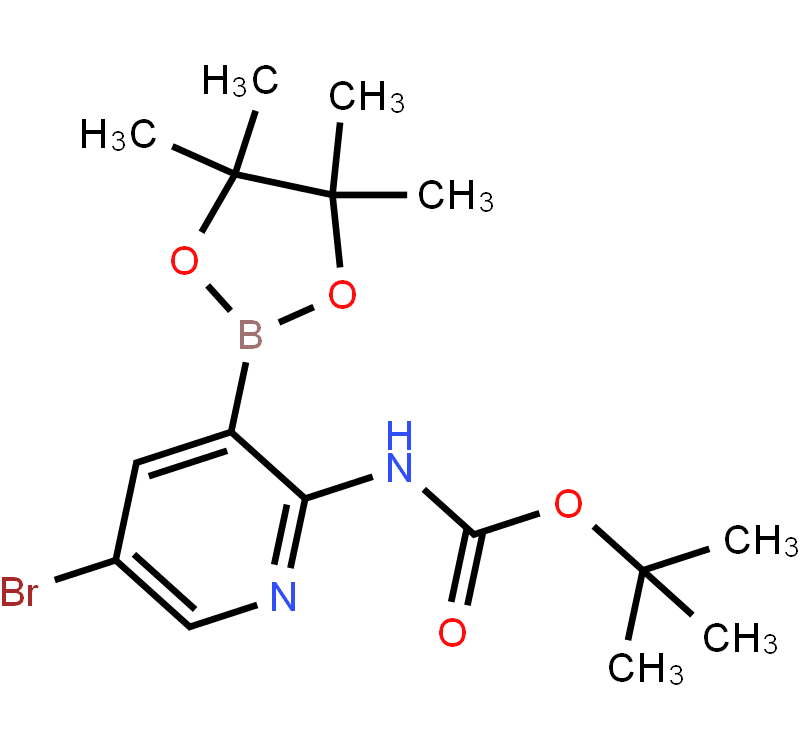 5-Bromo-2-tert-Butyloxycarbonylamino pyridine-3-boronic acid pinacol ester