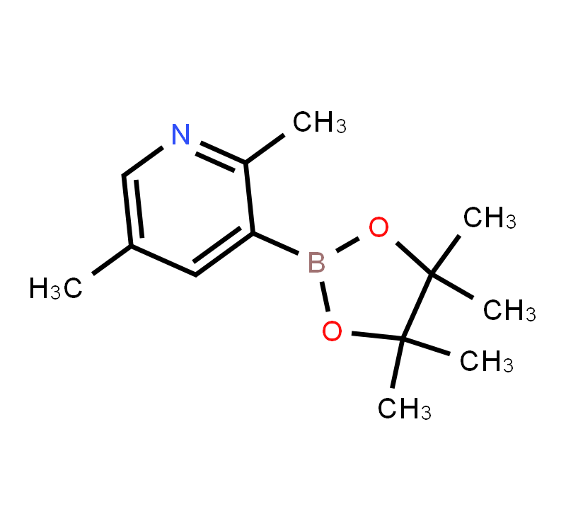 2,5-Dimethylpyridine-3-boronic acid pinacol ester