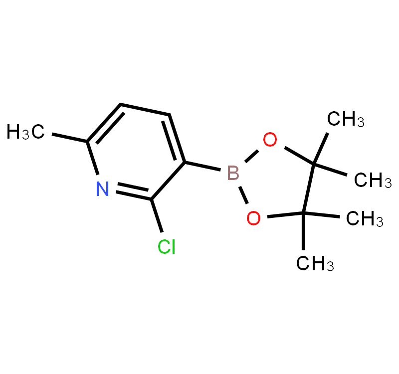 2-Chloro-6-methylpyridine-3-boronic acid pinacol ester