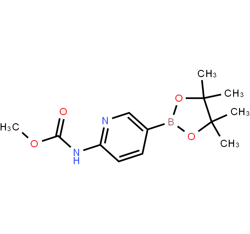 2-Methoxycarbonylaminopyridine-5-boronic acid pinacol ester