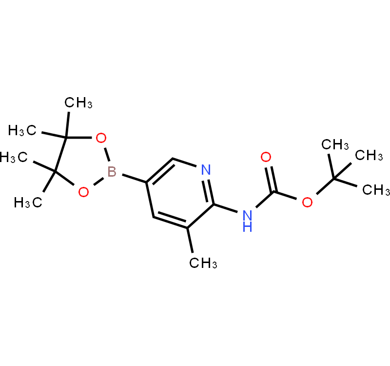 2-tert-Butyloxycarbonylamino-3-methylpyridine-5-boronic acid pinacol ester