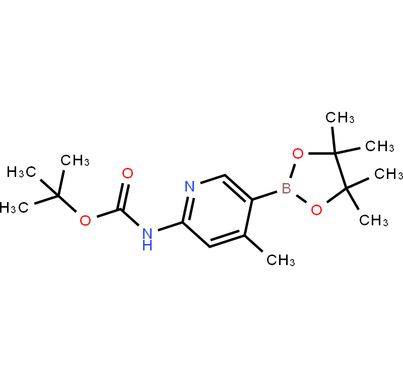 2-tert-Butyloxycarbonylamino-4-methylpyridine-5-boronic acid pinacol ester