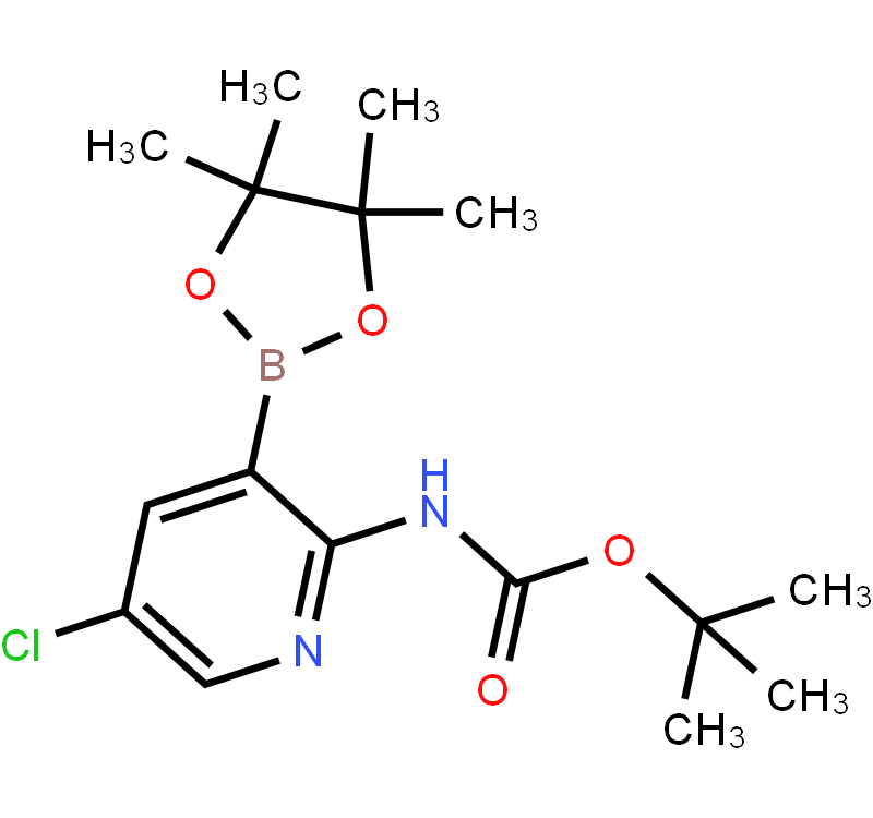 2-tert-Butyloxycarbonylamino-5-chloropyridine-3-boronic acid pinacol ester
