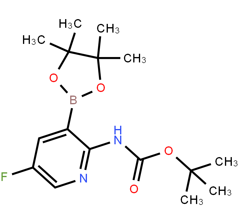 2-tert-Butyloxycarbonylamino-5-fluoropyridine-3-boronic acid pinacol ester