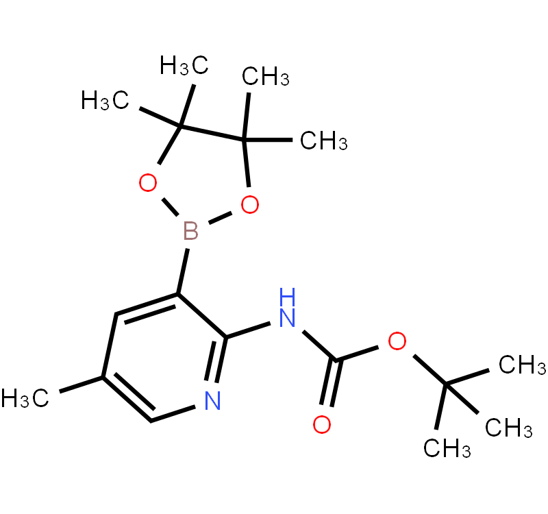2-tert-Butyloxycarbonylamino-5-methylpyridine-3-boronic acid pinacol ester