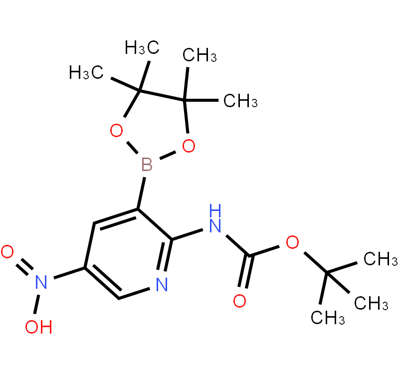 2-tert-Butyloxycarbonylamino-5-nitropyridine-3-boronic acid pinacol ester
