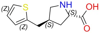 (2S,4S)-4-(thiophen-2-ylmethyl)pyrrolidine-2-carboxylic acid