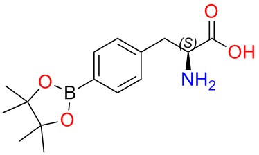 Boronophenylalanine